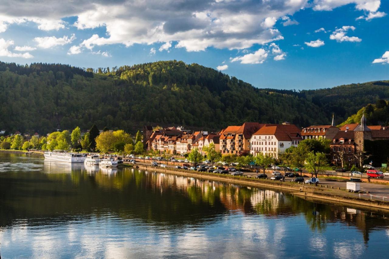 Hideaway Im Odenwald Nahe Heidelberg Appartement Eberbach  Buitenkant foto